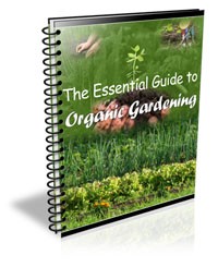 Essential Guide To Organic Gardening PLR Ebook