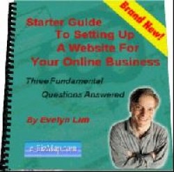 Starter Guide To Setting Up A Website Resale Rights Ebook