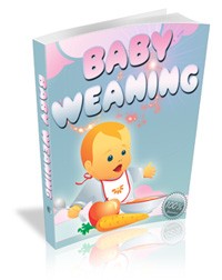 Baby Weaning Resale Rights Ebook
