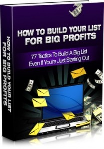 How To Build Your List For Big Profits Mrr Ebook
