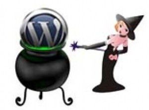 WordPress Plugin Magic Plr Video