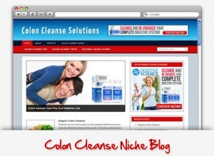 Colon Cleanse Niche Blog Personal Use Template
