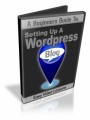 Beginners Guide To Wordpress MRR Video 