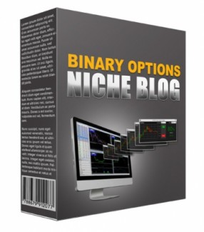 Binary Options Flipping Niche Blog Package Personal Use Template