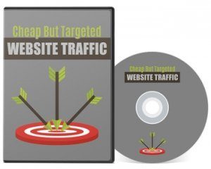 Cheap But Targeted Website Traffic PLR Video