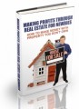 Making Profits Through Real Estate For Newbies MRR Ebook