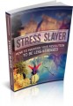 Stress Slayer MRR Ebook