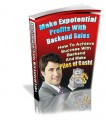 Make Exponential Profits With Backend Sales PLR Ebook