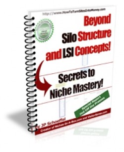 Secrets To Niche Mastery Give Away Rights Ebook