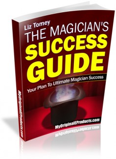 The Magicians Success Guide Mrr Ebook