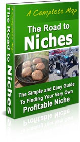The Road To Niches PLR Ebook