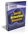 Social Networking Blueprint Give Away Rights Ebook