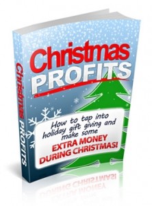 Christmas Profits Plr Ebook