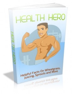 Health Hero Mrr Ebook
