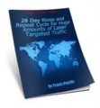 28 Day Traffic Guide Resale Rights Ebook 