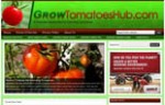 Growing Tomatoes Blog Personal Use Template 