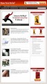 Knee Pain Niche Blog Personal Use Template With Video