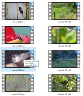 Nature Stock Videos Four – V2 MRR Video