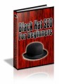 Black Hat SEO For Beginners Mrr Ebook