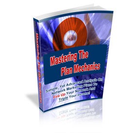 Mastering The Plan Mechanics PLR Ebook