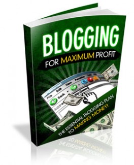 Blogging For Maximum Profit MRR Ebook