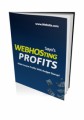 Webhosting Profits PLR Ebook