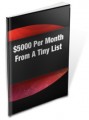 5,000 Per Month From A Tiny List MRR Ebook 