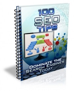 100 SEO Tips Give Away Rights Ebook