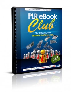 The Official System To Instantly Profit From Private Label Rights MRR Ebook