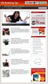 Cpa Marketing Tips Niche Blog Personal Use Template With Video