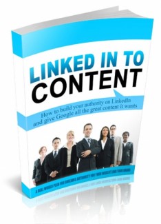 Linked Into Content PLR Ebook