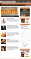 Wholesale Designer Blog Personal Use Template With Video