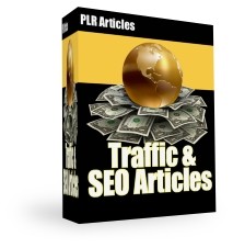Traffic & SEO Articles Plr Article