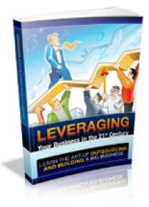 Leveraging Your Businesses In The 21st Century Mrr Ebook