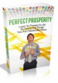 Perfect Prosperity Mrr Ebook