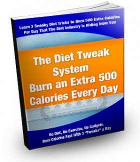 The Diet Tweak System Plr Ebook