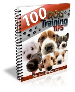 100 Dog Training Tips Mrr Ebook