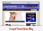 Carpal Tunnel Niche Wordpress Theme Personal Use Template