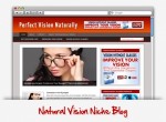 Natural Vision Niche Wordpress Theme Personal Use Template