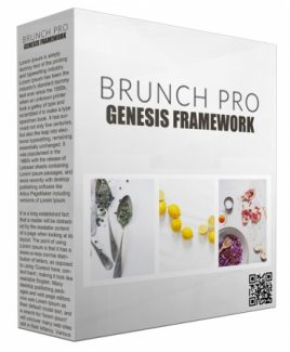 Brunch Pro Genesis Framework Personal Use Template