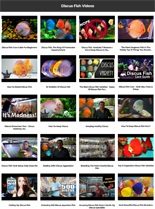 Discus Fish Instant Mobile Video Site MRR Software