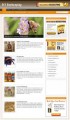 Diy Beekeeping Niche Blog Personal Use Template With Video