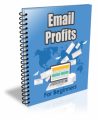 Email Profits For Beginners Ecourse PLR Autoresponder ...