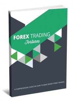 Forex Trading Fortunes MRR Ebook