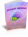 Netrepreneur Success Mindset PLR Ebook