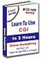 Learn To Use Cgi In Two Hours Resale Rights Ebook
