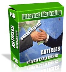 Private Label Article Pack : Internet Marketing Articles PLR Article