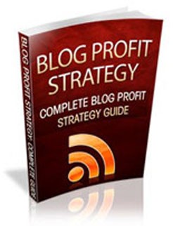 Blog Profit Strategy Personal Use Ebook