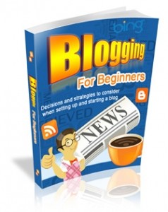 Blogging For Beginners Mrr Ebook