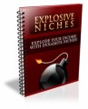 Explosive Niches Personal Use Ebook